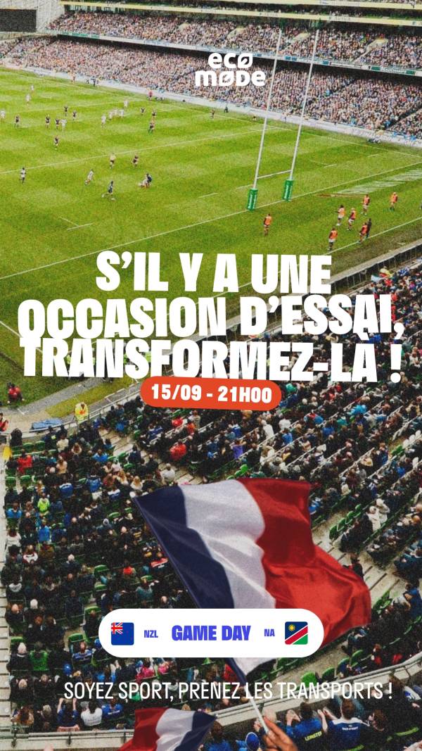 Illustration du projet Coupe du Monde de Rugby